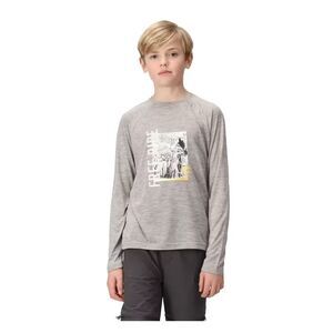 Regatta Childrens/Kids Burnlee T-Shirt / Silver Grey Marl